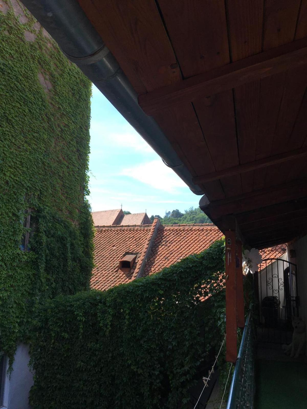Castel Residence Braşov Esterno foto